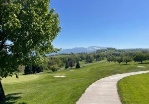 WhatsApp Image 2026-04-24 at 16.05.14 (1)